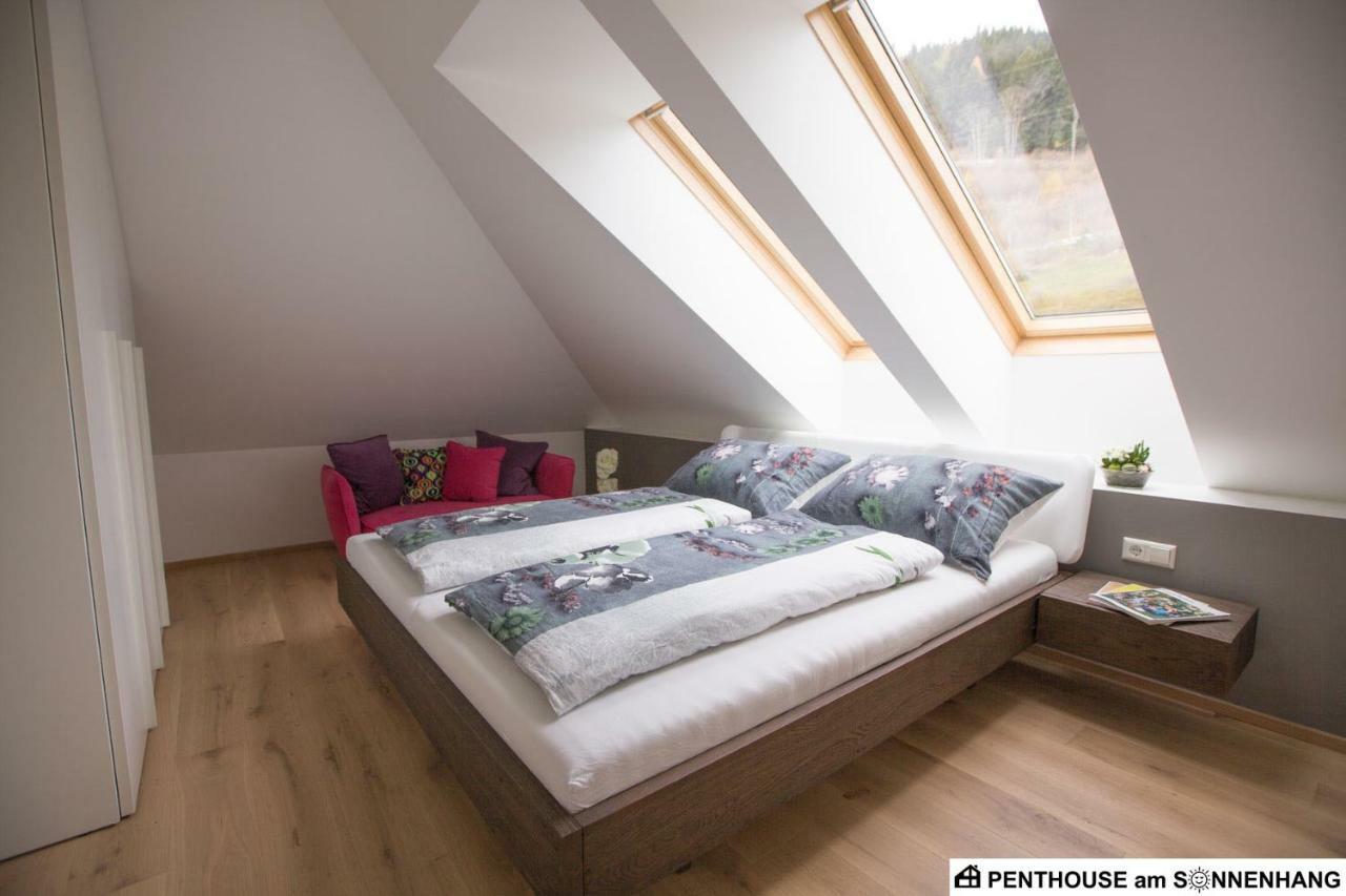 Penthouse Am Sonnenhang Mit Exklusiver Ausstattung Schladming Eksteriør billede
